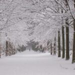 winter Nijmegen 3